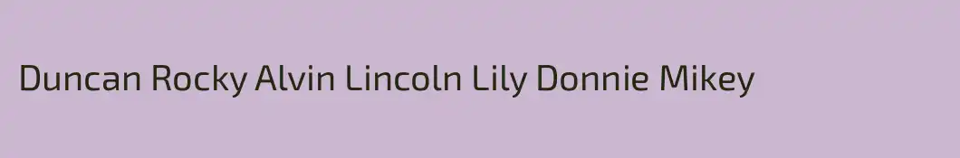Duncan Rocky Alvin Lincoln Lily Donnie Mikey